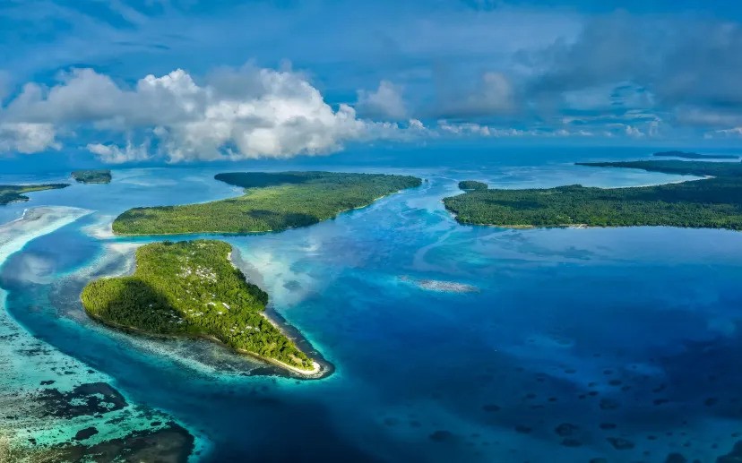 Bild 577